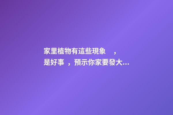 家里植物有這些現象，是好事，預示你家要發大財了！